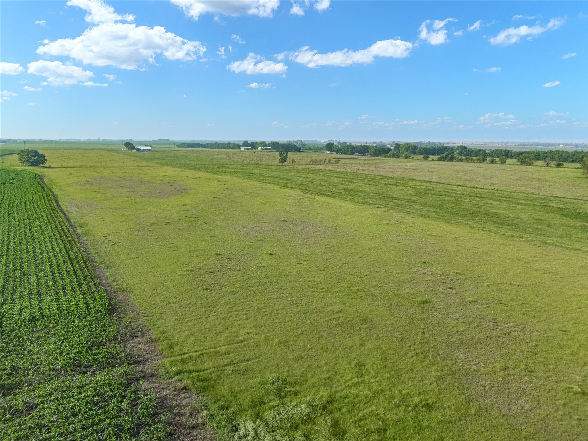 Tbd Hcr 4123 Itasca TX 76055