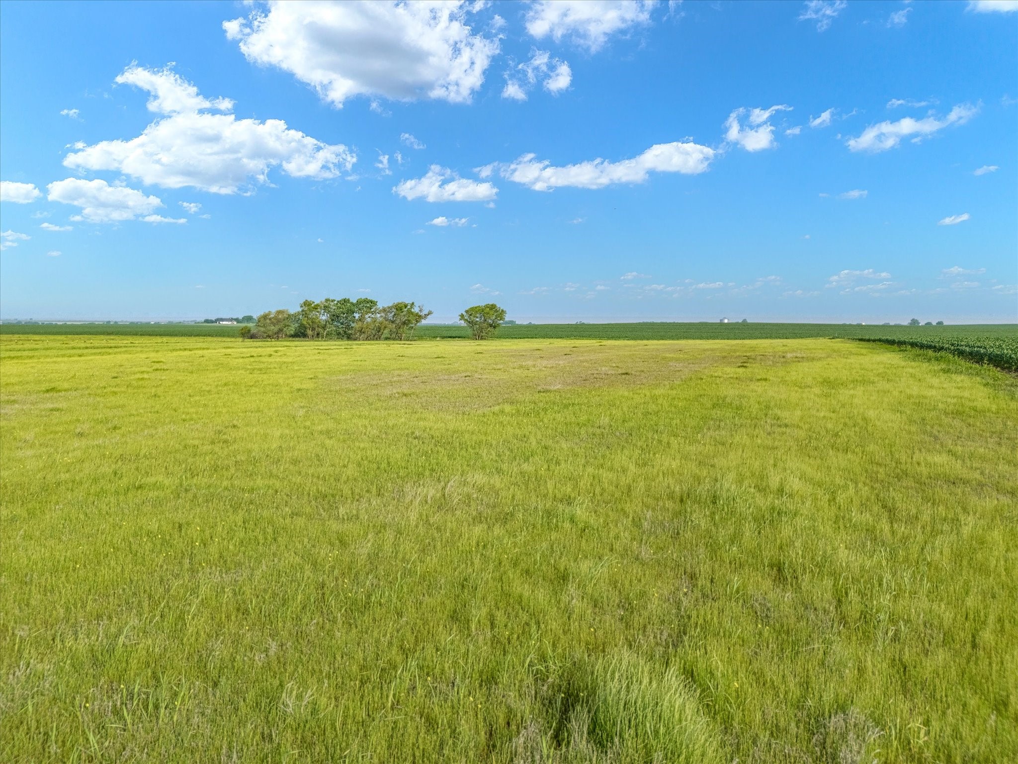 Tbd Hcr 4123 Itasca TX 76055