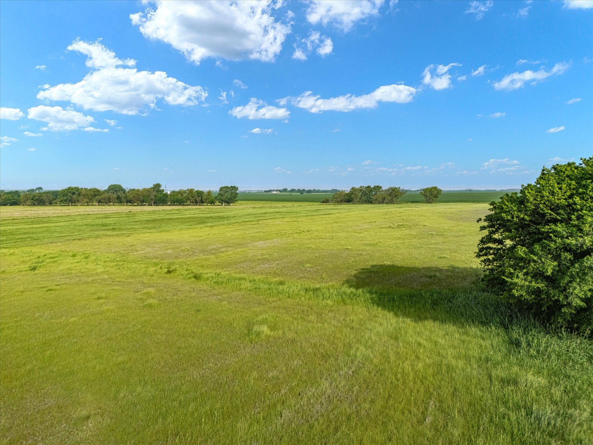 Tbd Hcr 4123 Itasca TX 76055