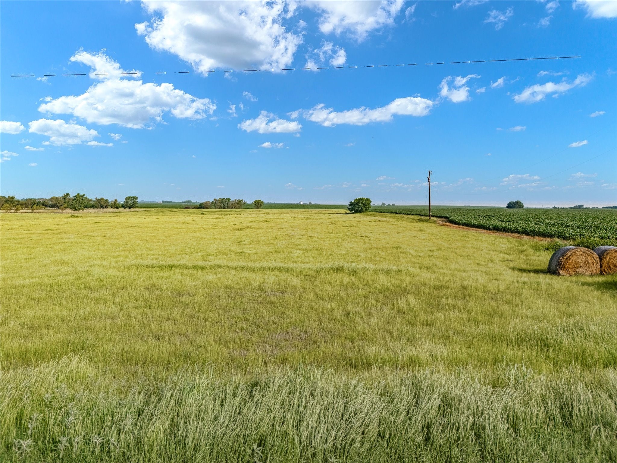 Tbd Hcr 4123 Itasca TX 76055