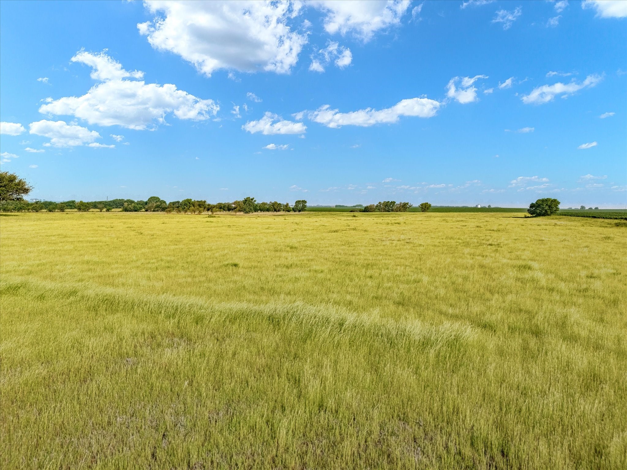Tbd Hcr 4123 Itasca TX 76055