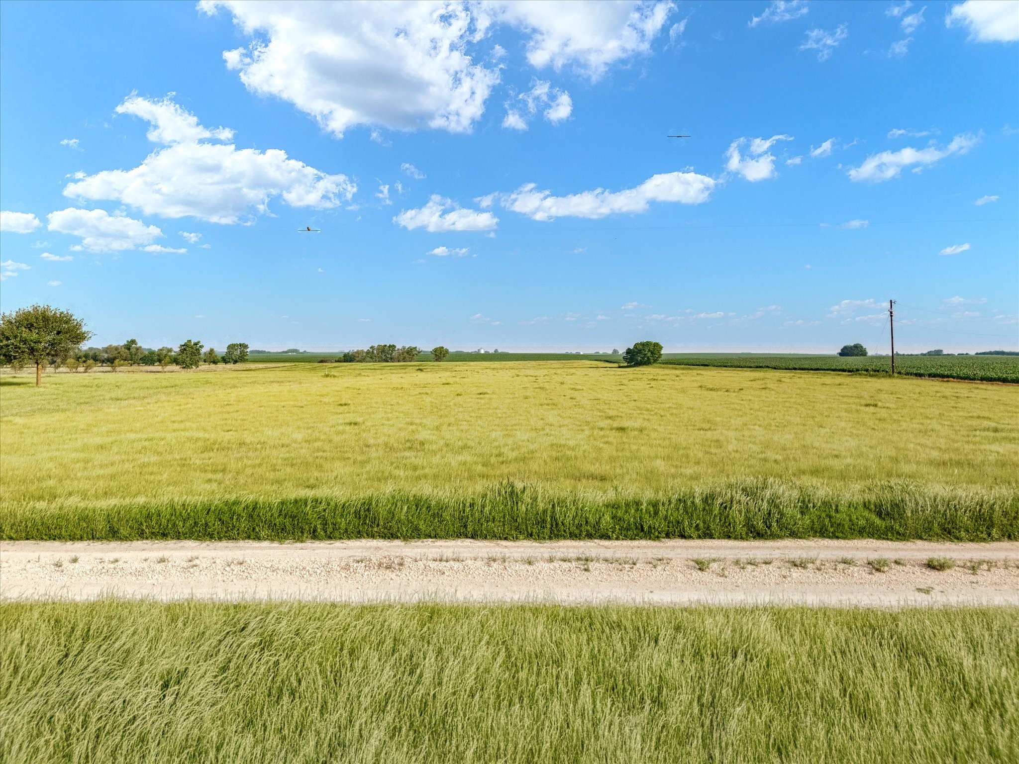 Tbd Hcr 4123 Itasca TX 76055
