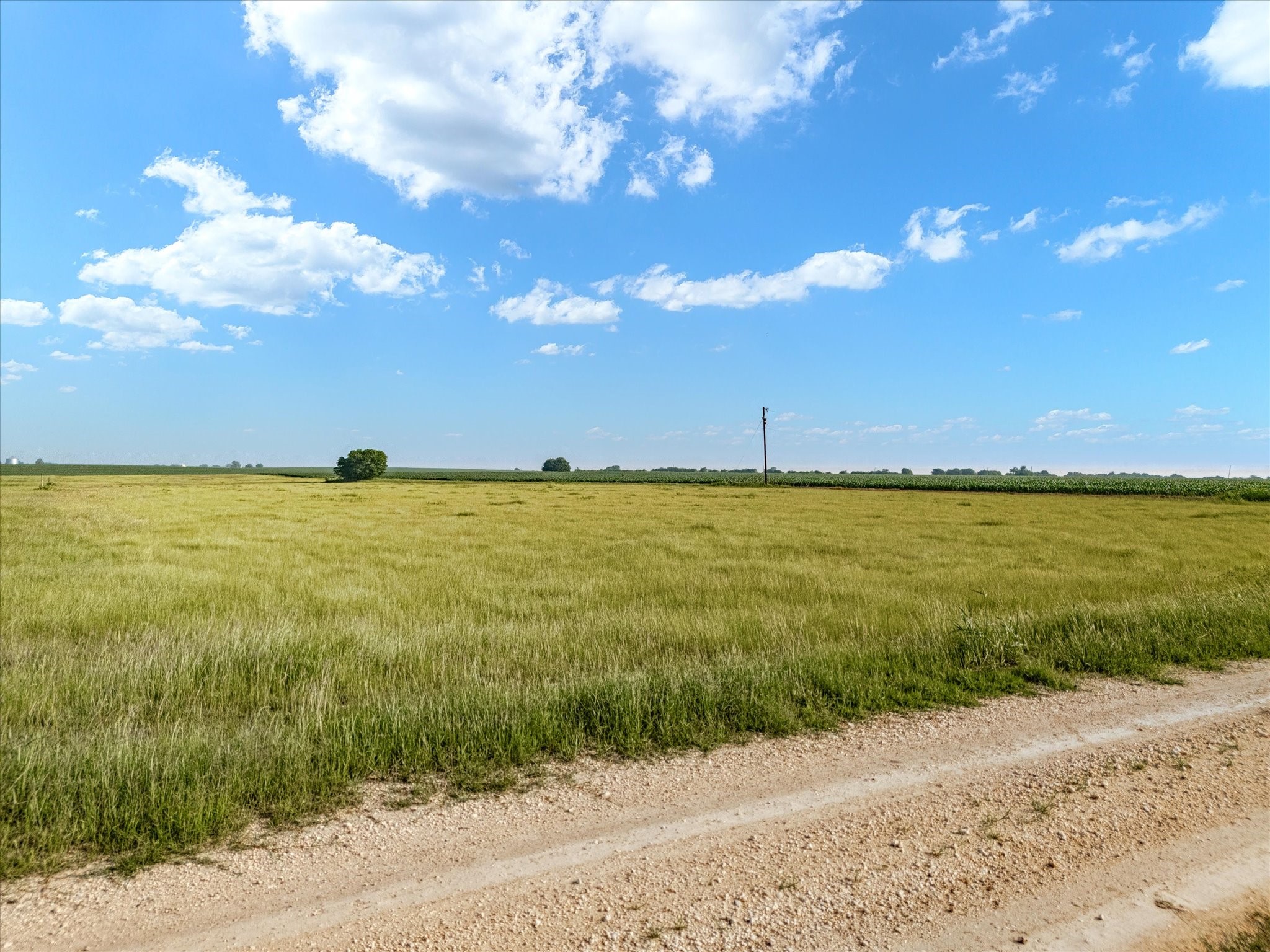 Tbd Hcr 4123 Itasca TX 76055