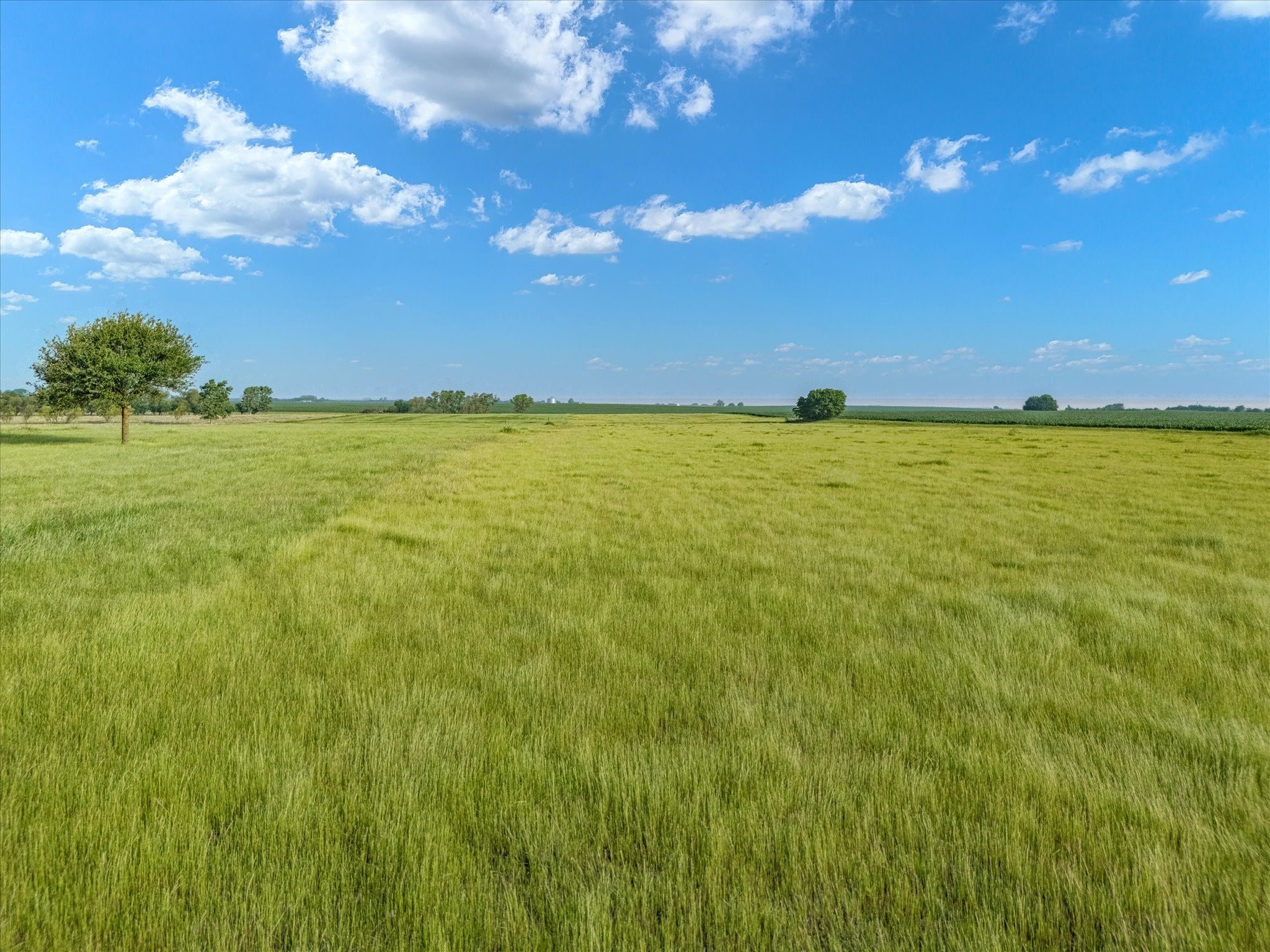 Tbd Hcr 4123 Itasca TX 76055