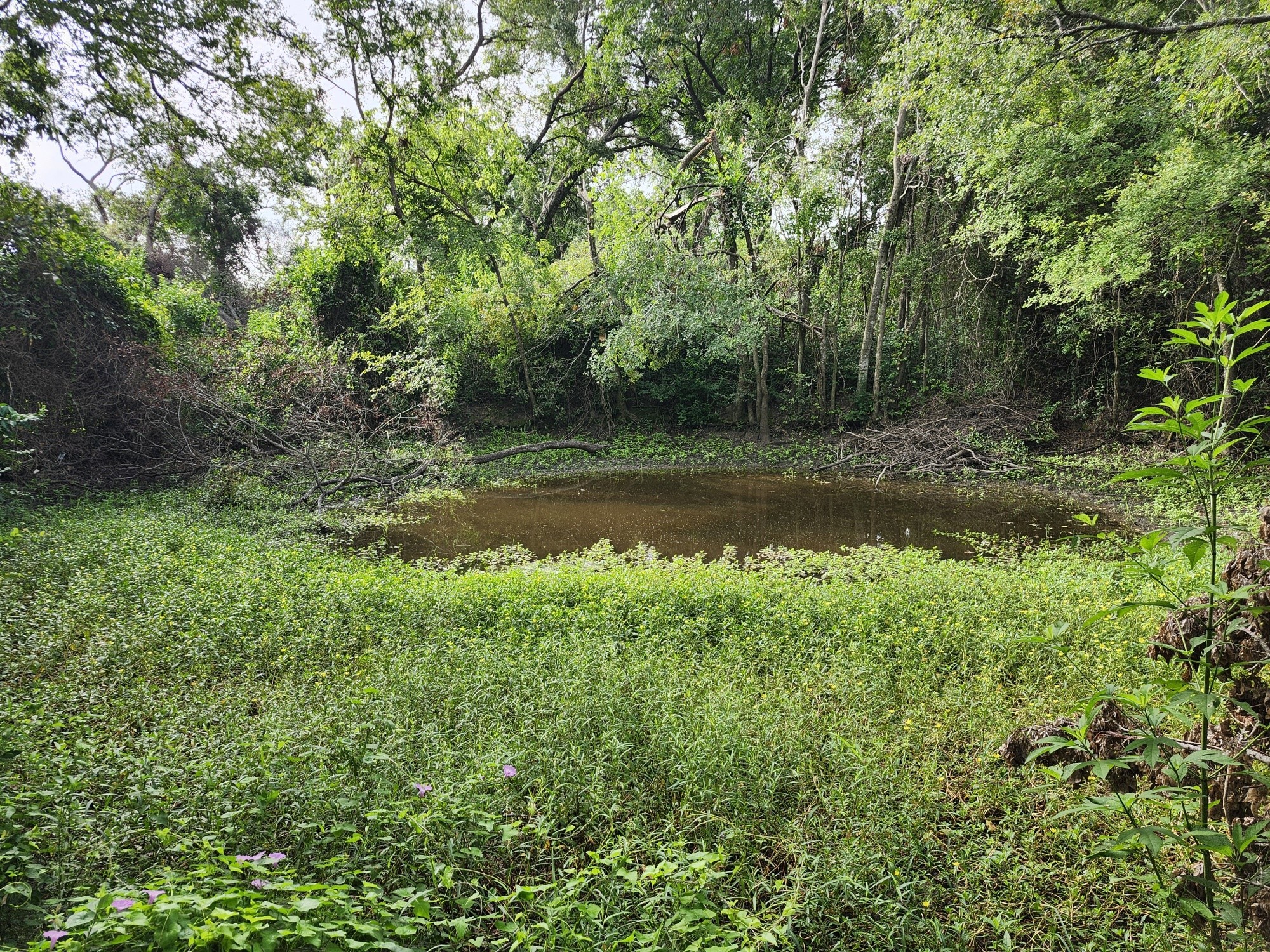 1202 Park Street Marlin TX 76661