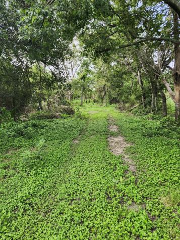 1202 Park Street Marlin TX 76661