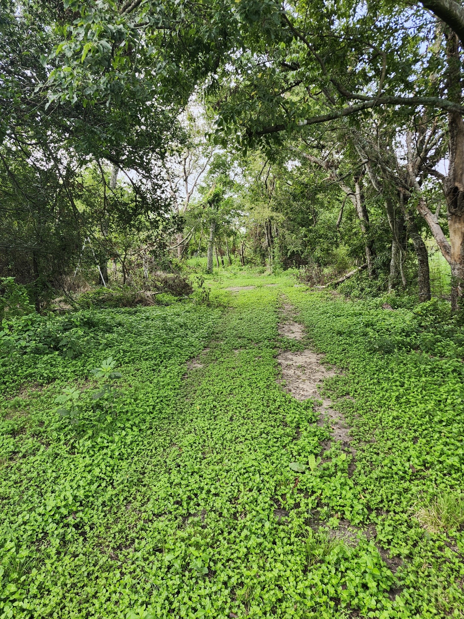 1202 Park Street Marlin TX 76661