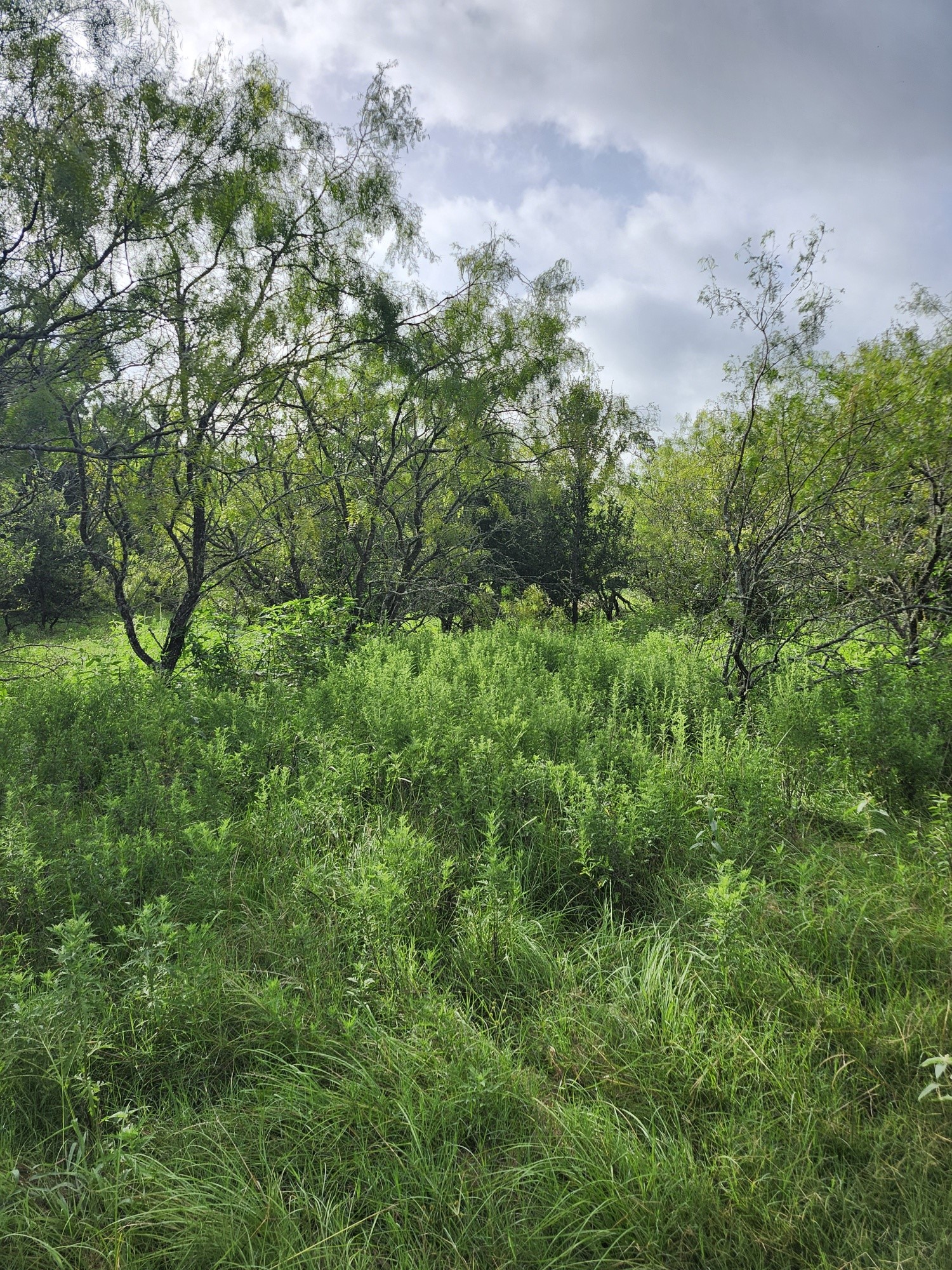 1202 Park Street Marlin TX 76661
