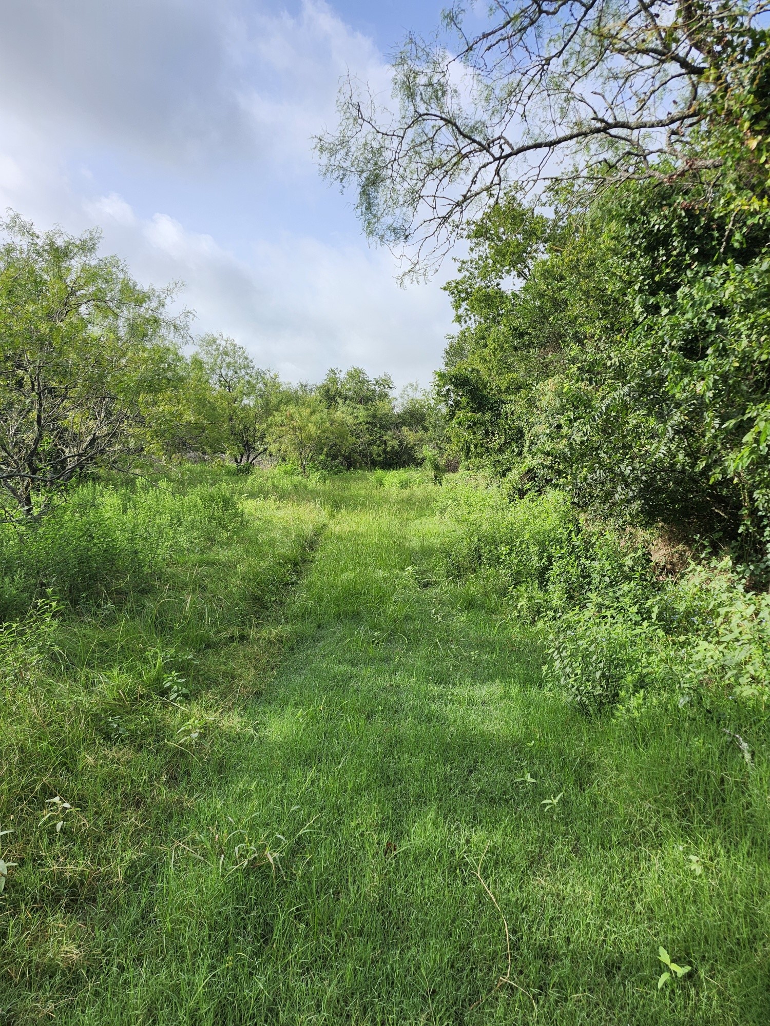 1202 Park Street Marlin TX 76661