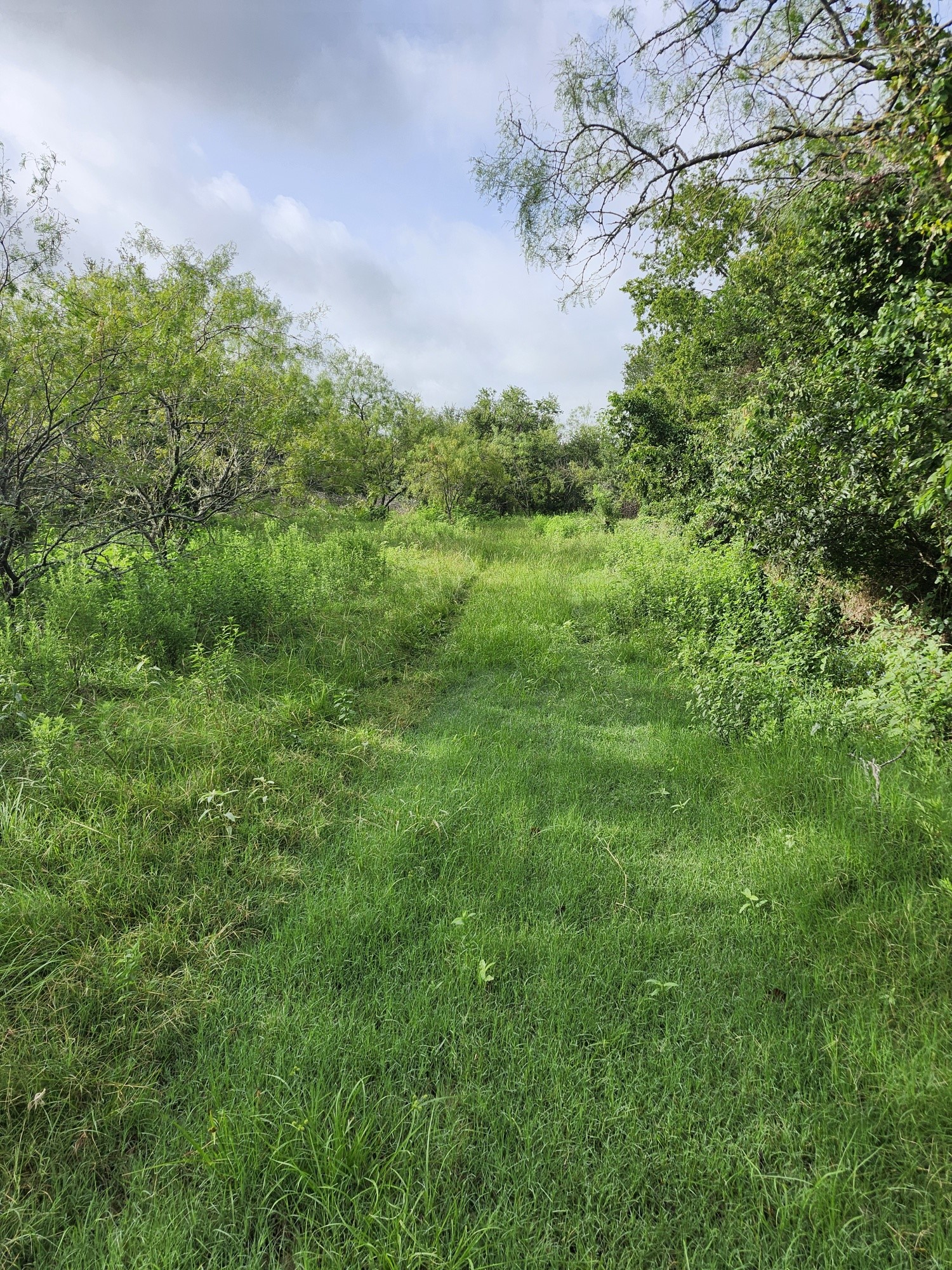 1202 Park Street Marlin TX 76661