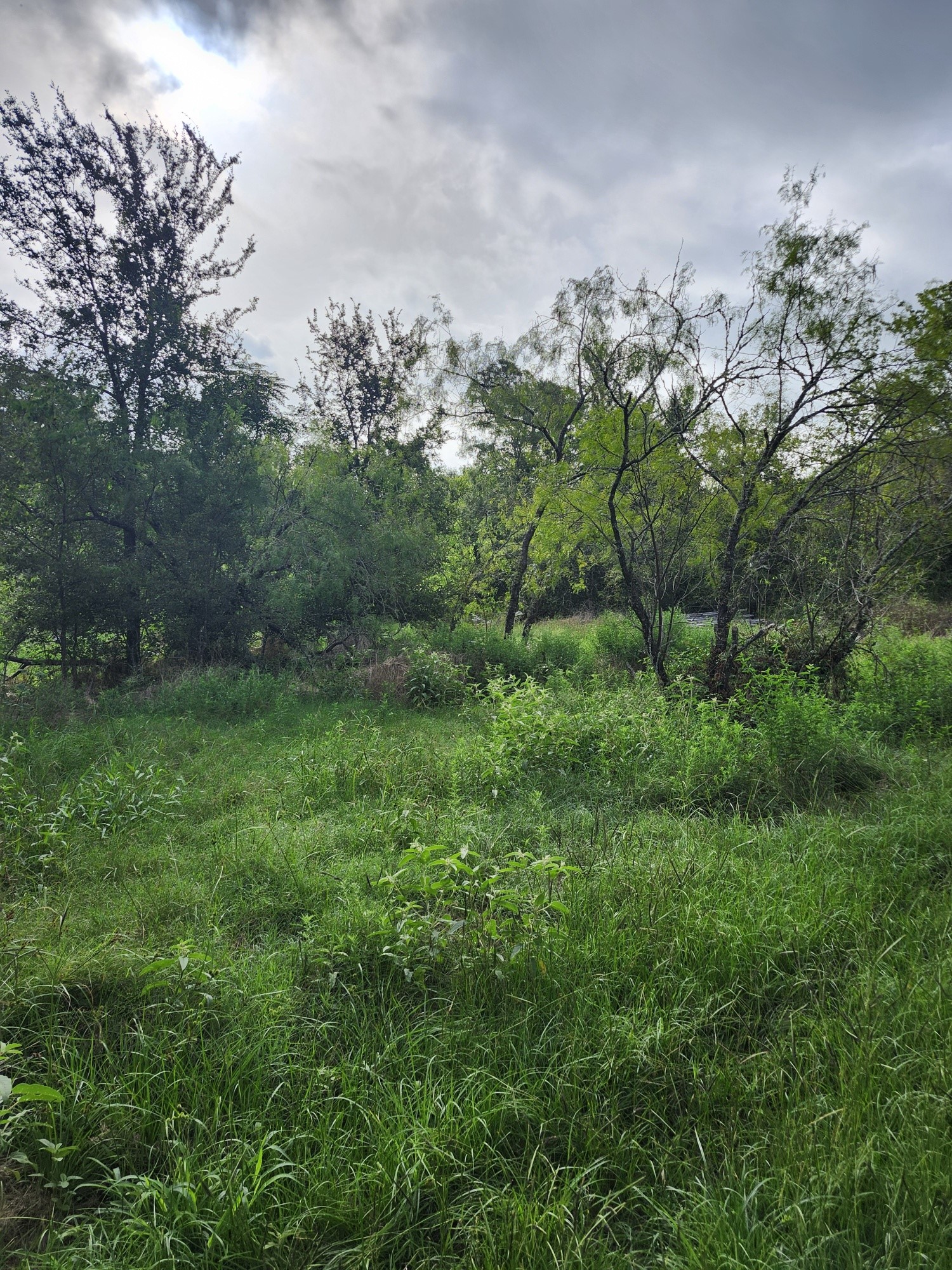 1202 Park Street Marlin TX 76661