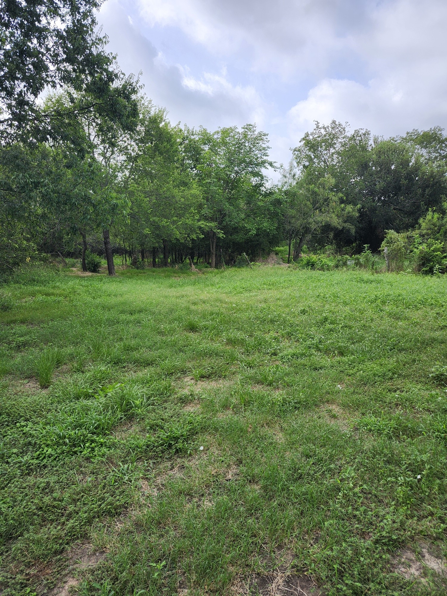 1202 Park Street Marlin TX 76661