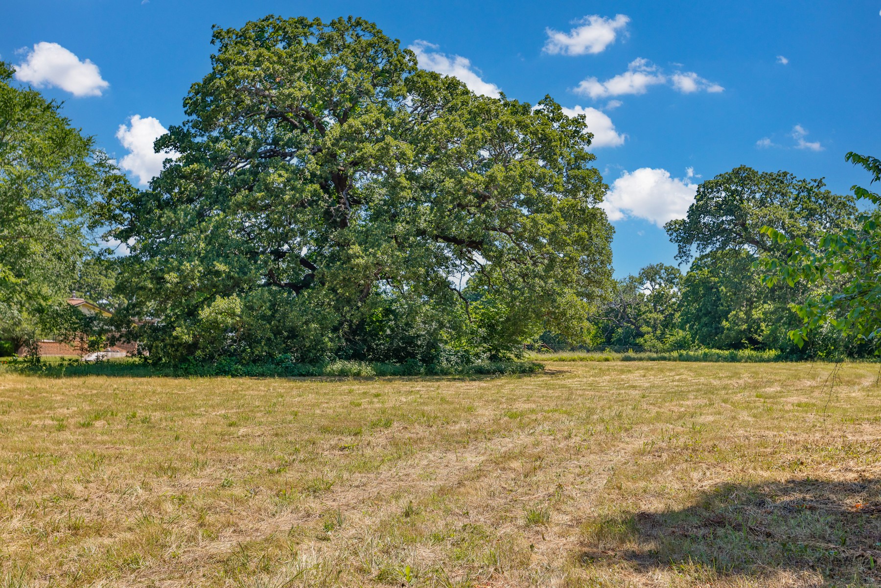 Tbd Cordell Road Sadler TX 76264