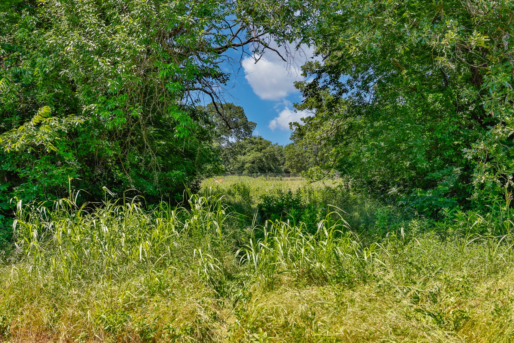 Tbd Cordell Road Sadler TX 76264
