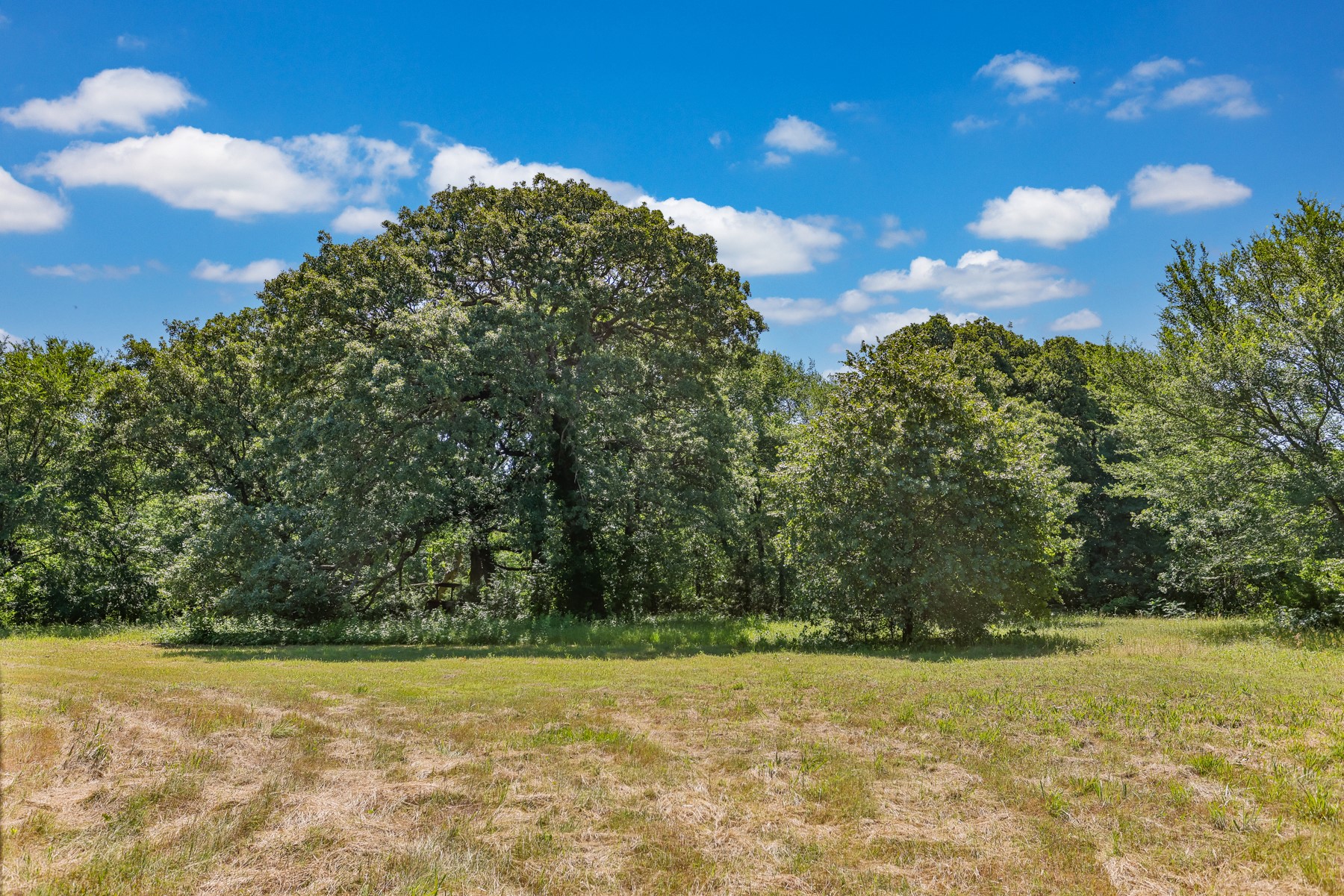 Tbd Cordell Road Sadler TX 76264