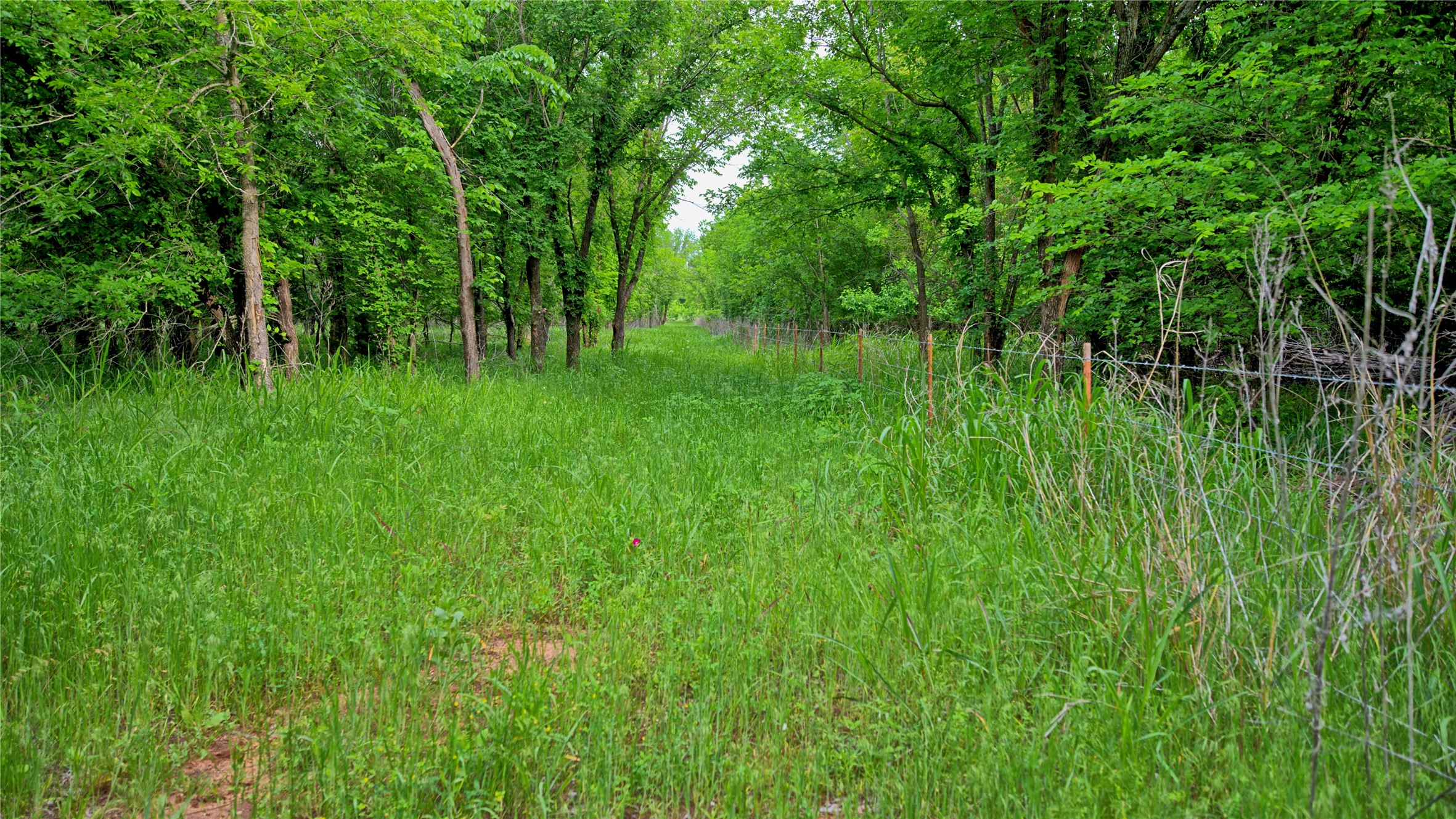 6500 Barrel Springs Road Nocona TX 76255