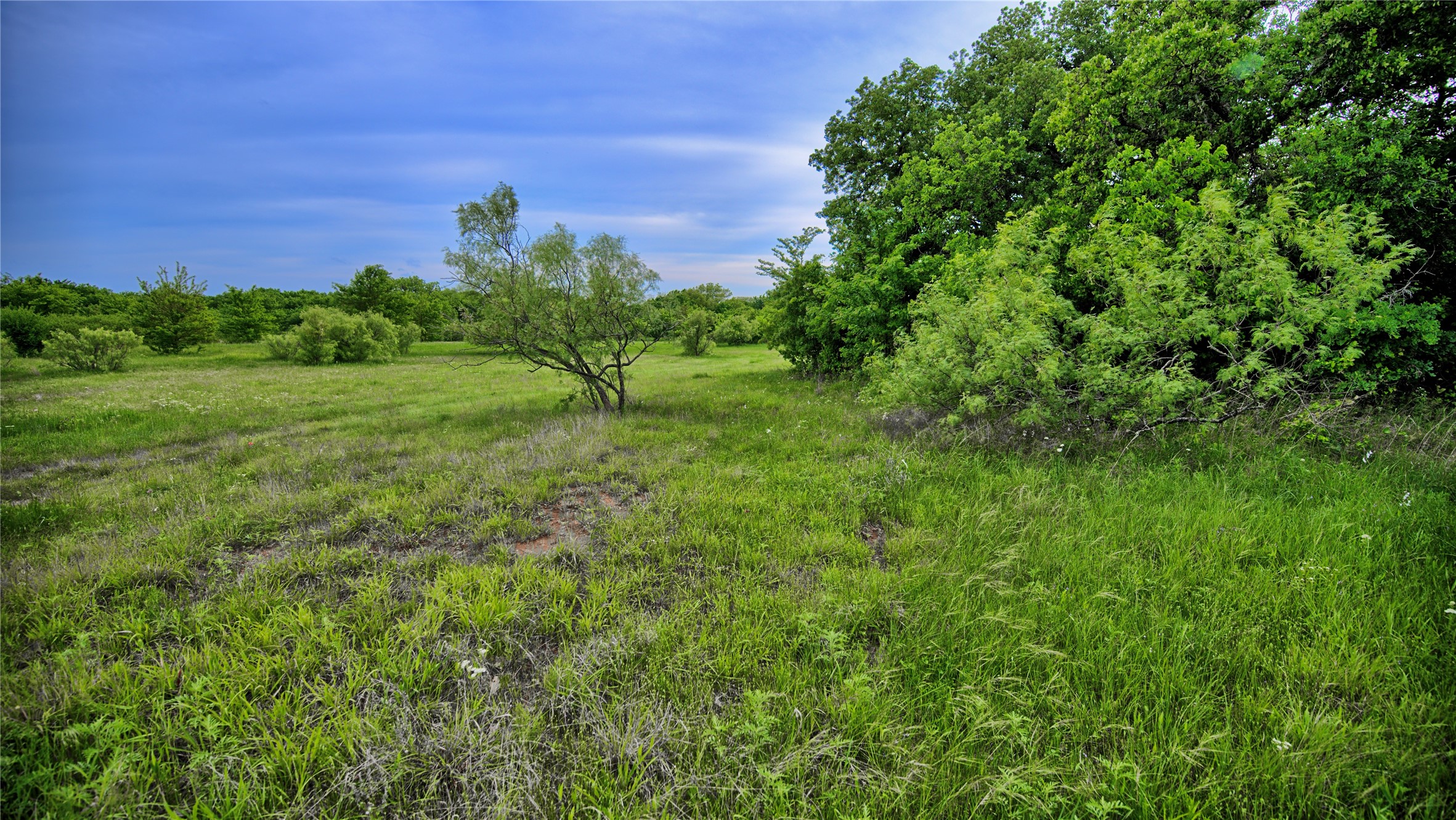 6500 Barrel Springs Road Nocona TX 76255