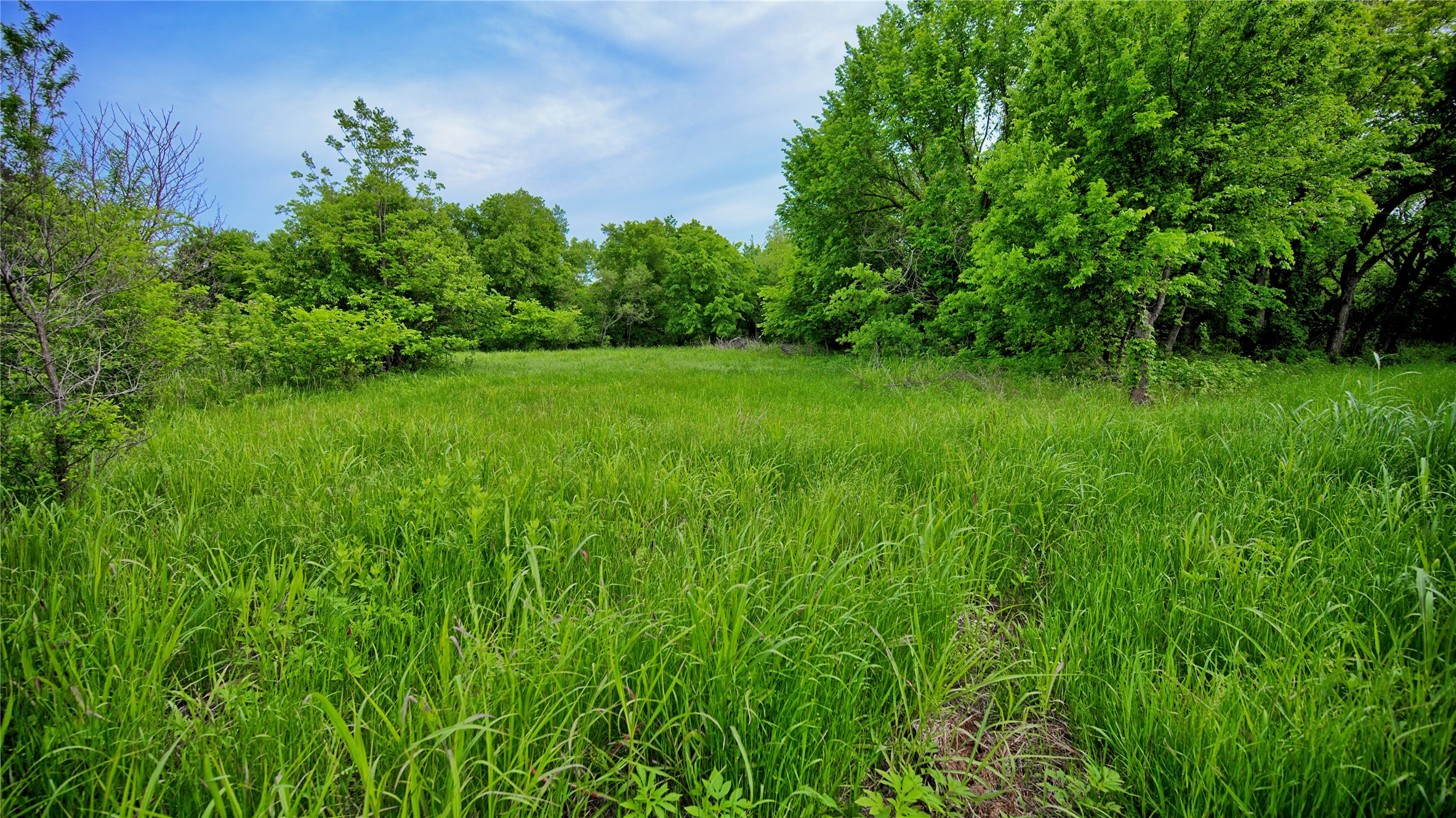 6500 Barrel Springs Road Nocona TX 76255
