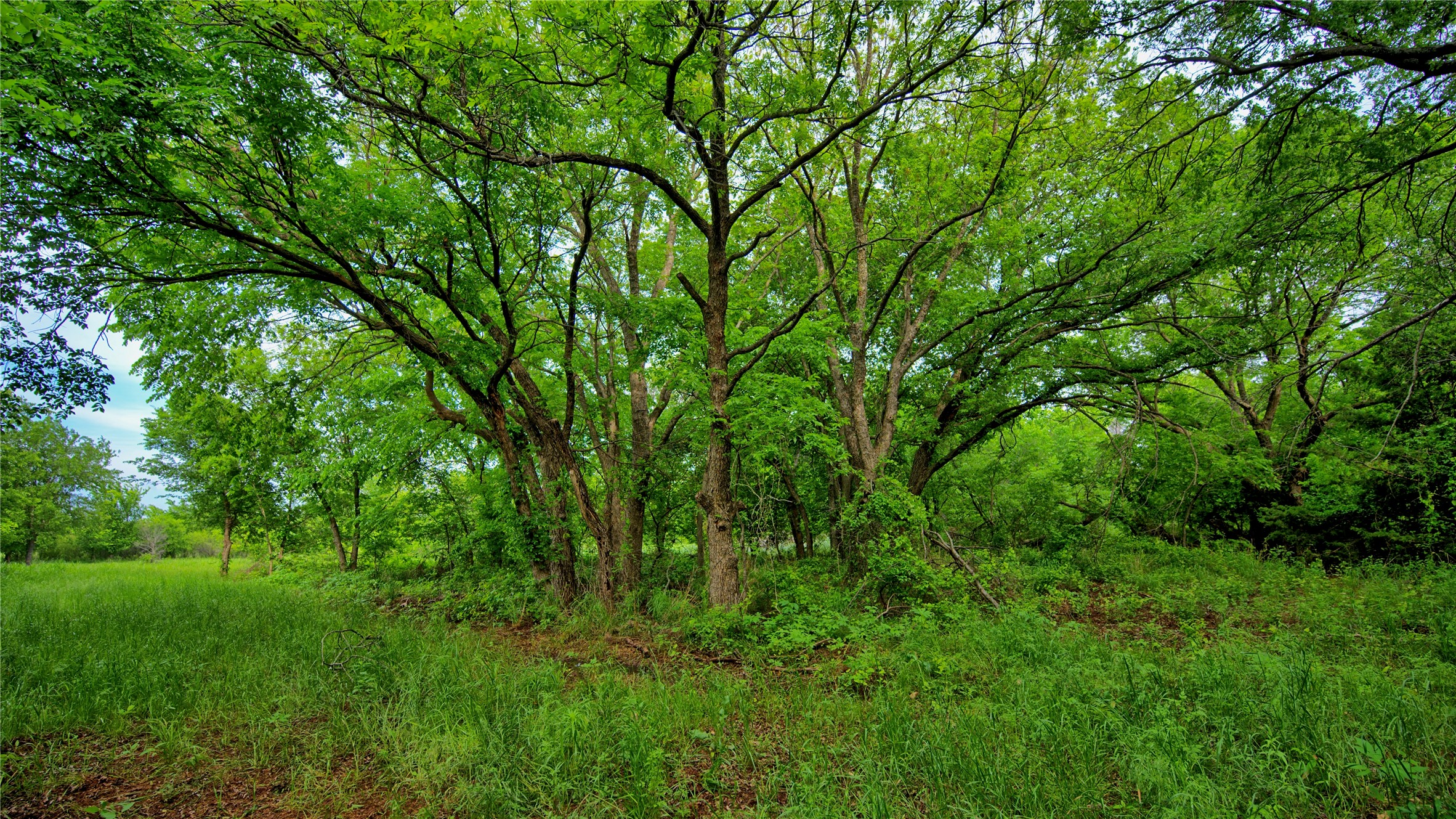 6500 Barrel Springs Road Nocona TX 76255
