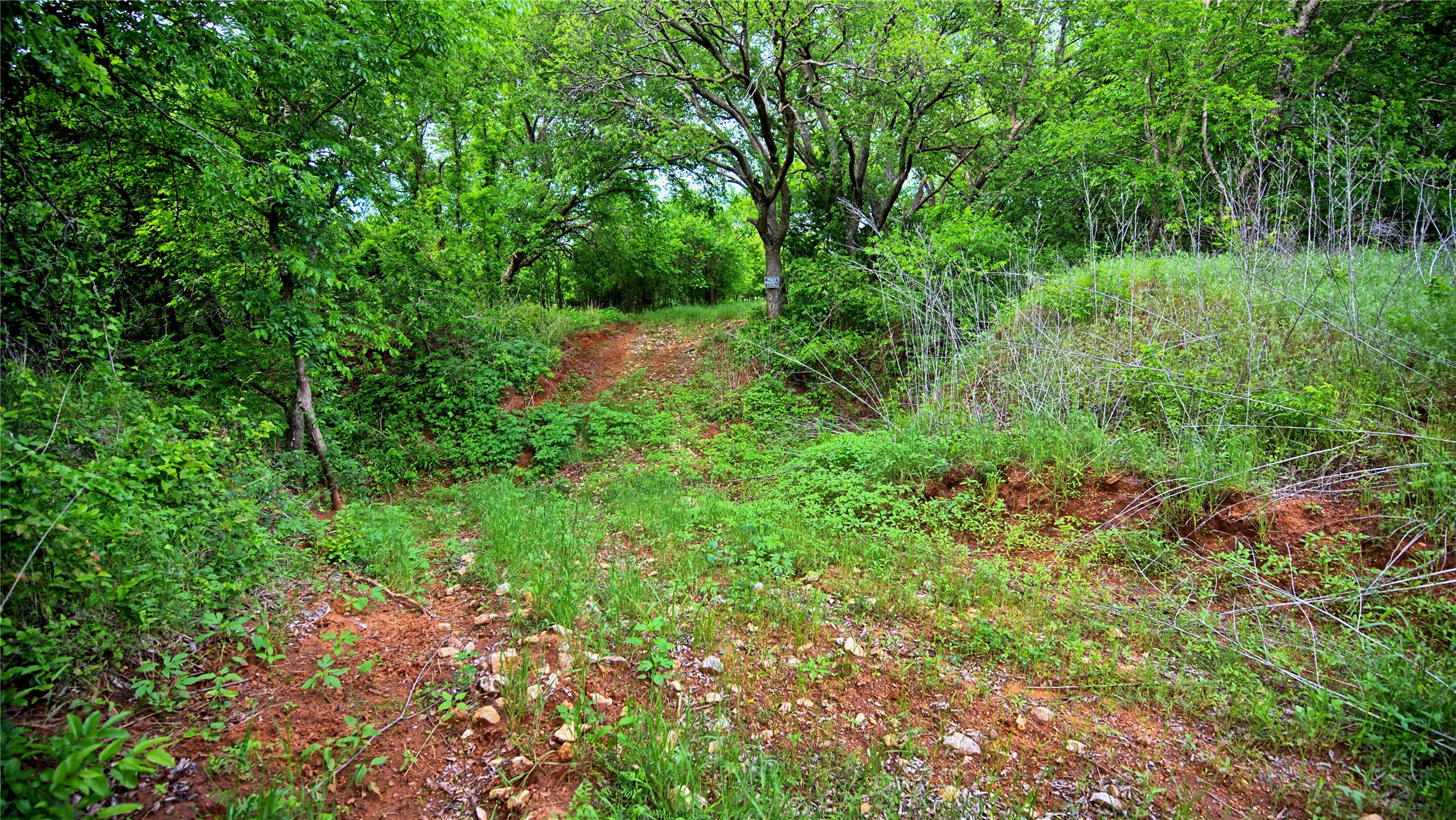 6500 Barrel Springs Road Nocona TX 76255