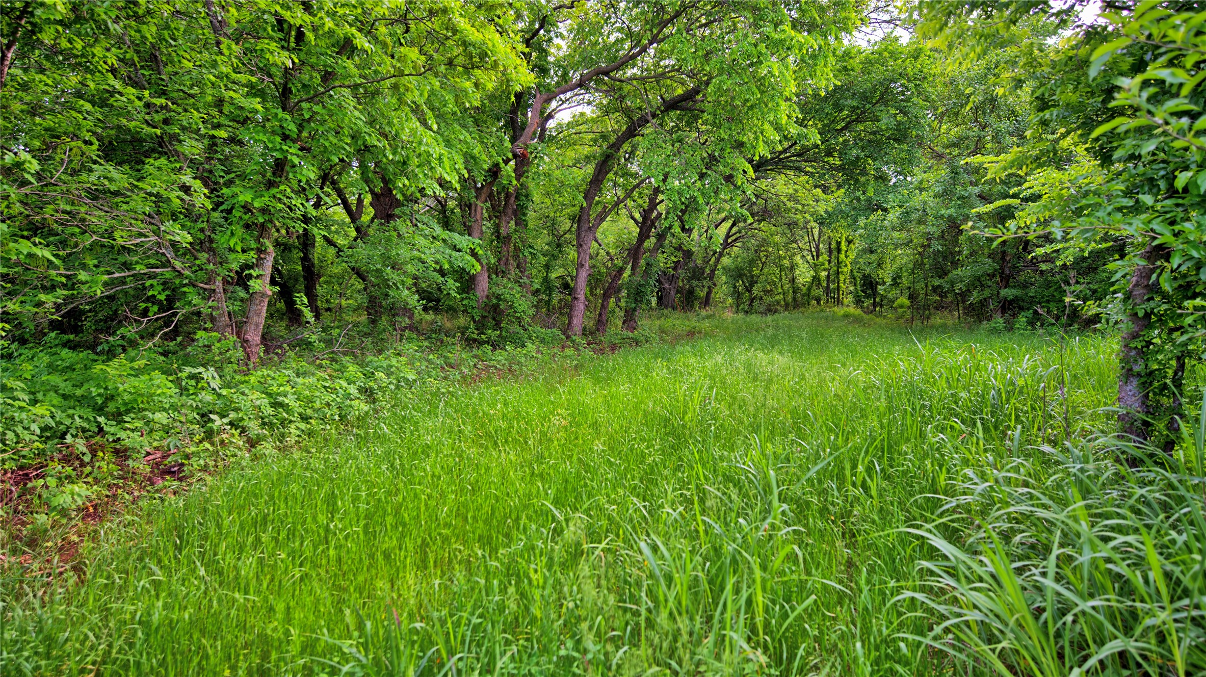 6500 Barrel Springs Road Nocona TX 76255