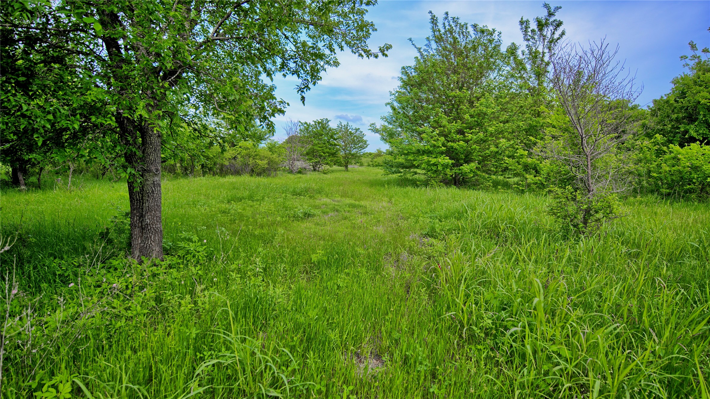 6500 Barrel Springs Road Nocona TX 76255