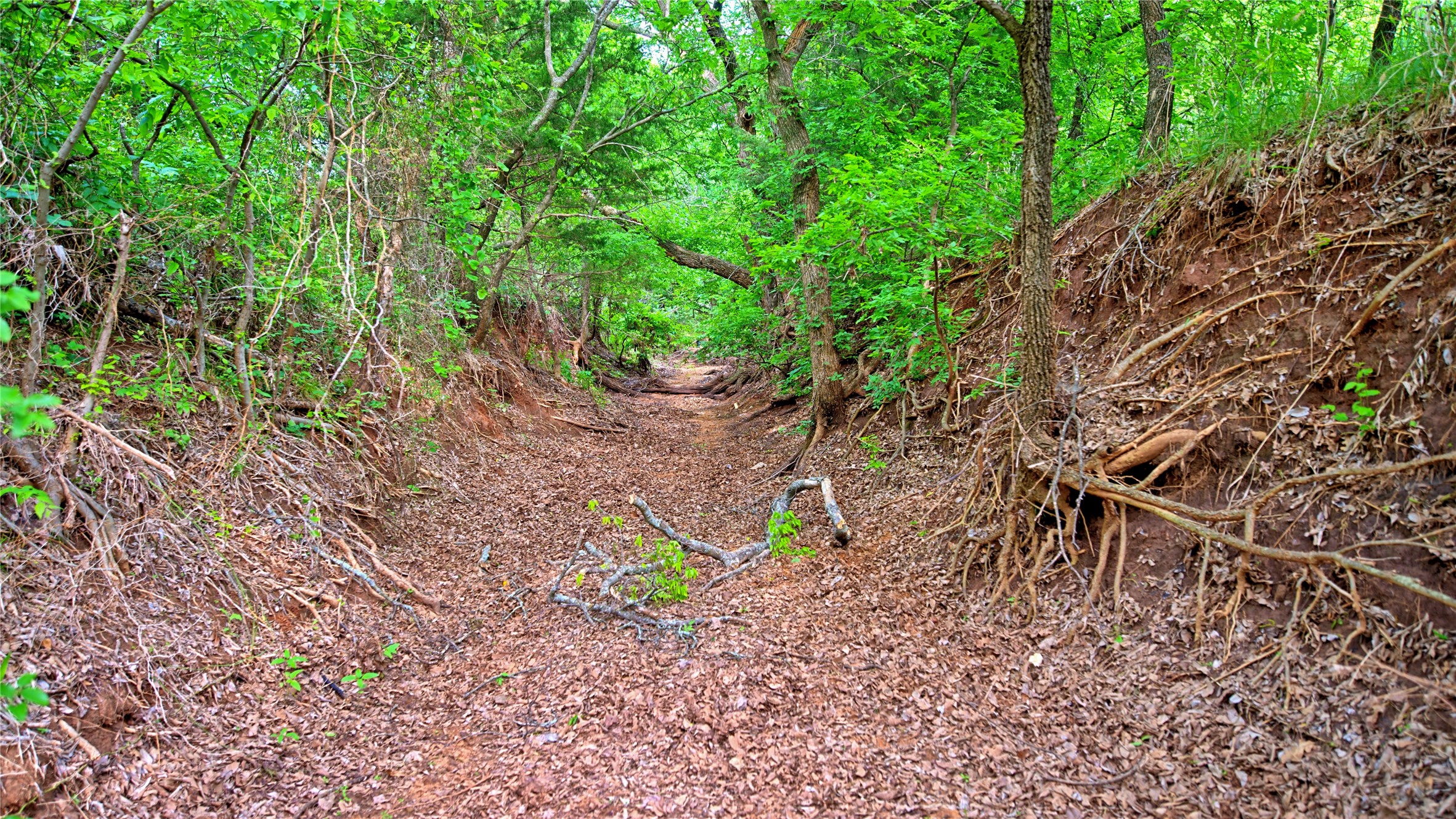6500 Barrel Springs Road Nocona TX 76255
