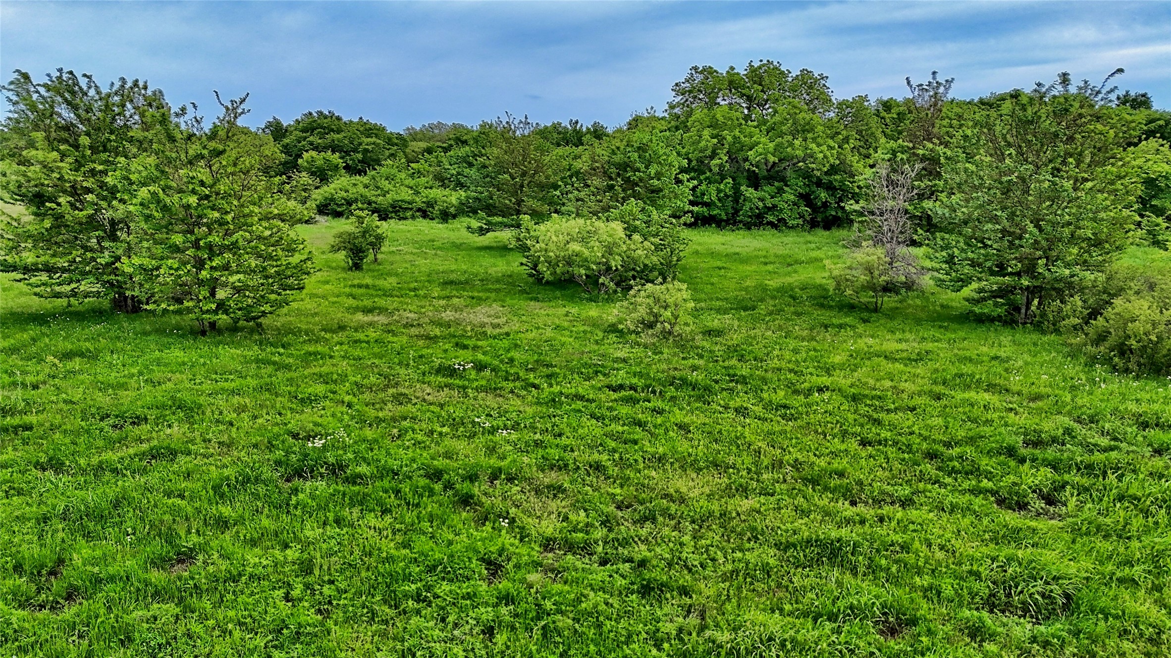6500 Barrel Springs Road Nocona TX 76255