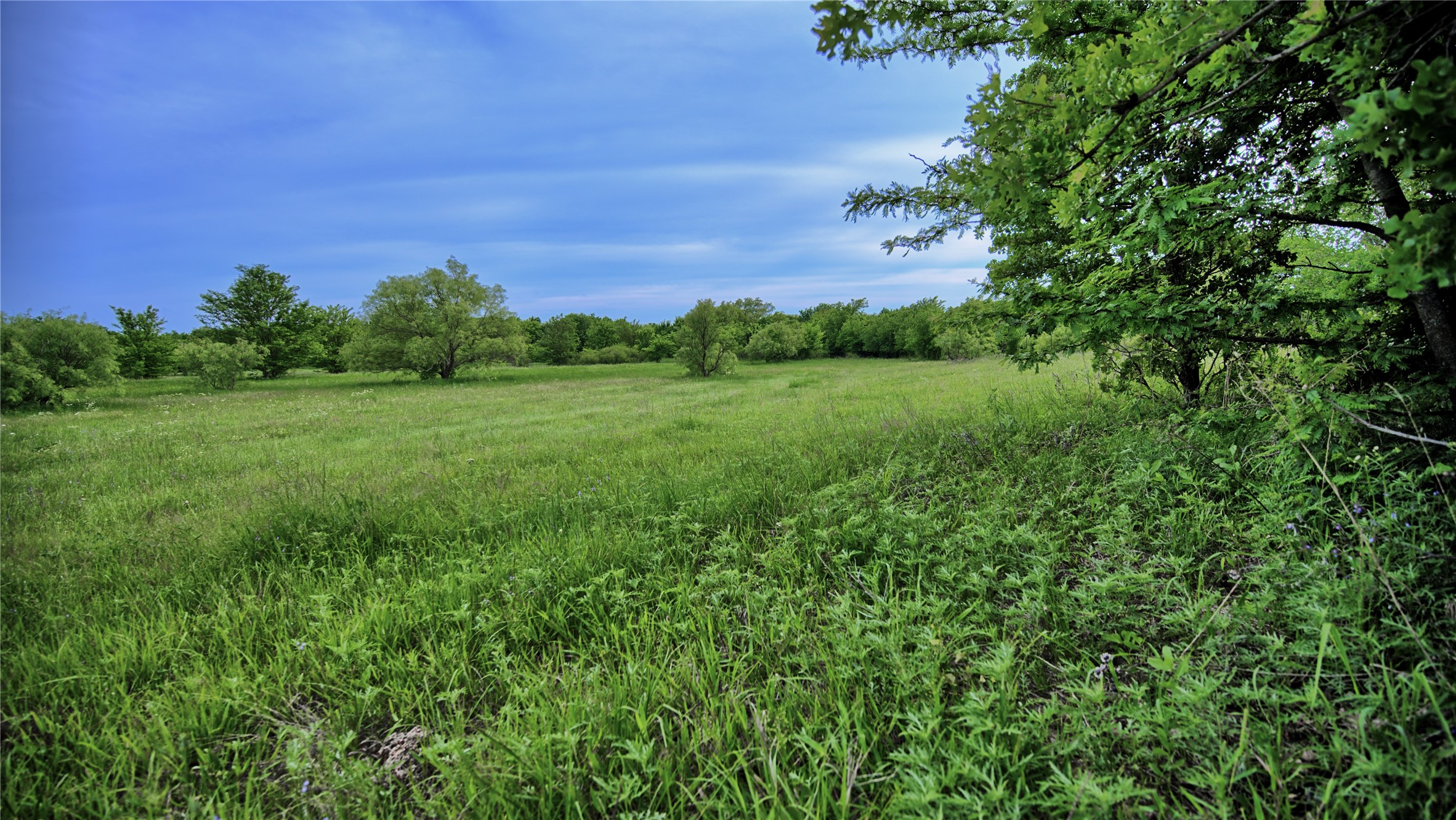 6500 Barrel Springs Road Nocona TX 76255