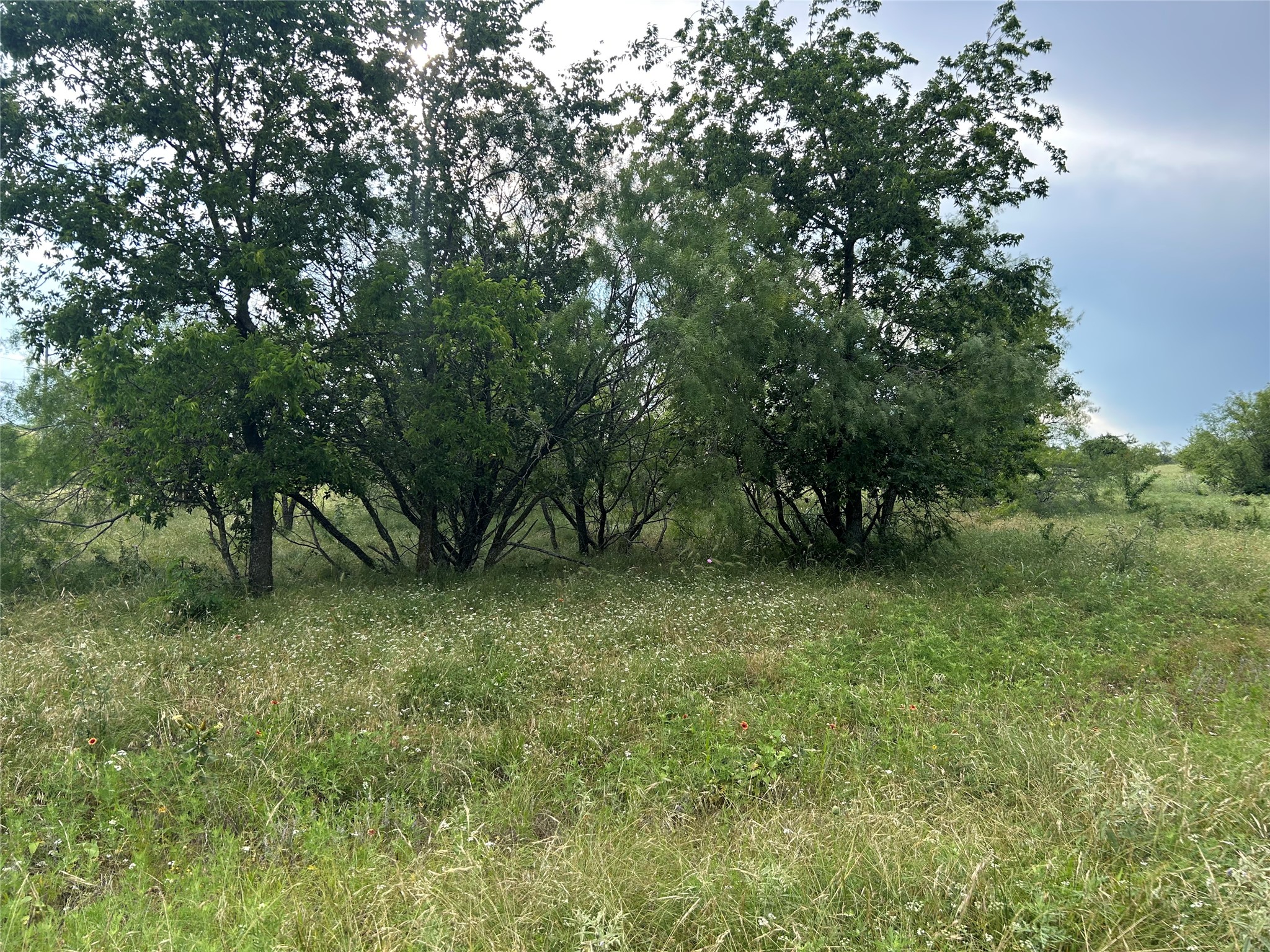 4060 Mirielle Drive Aledo TX 76008