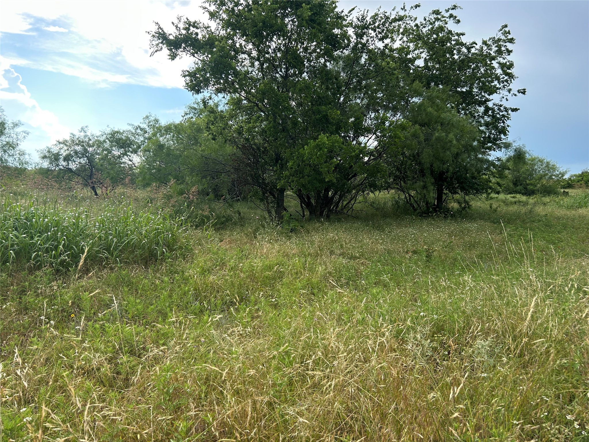 4060 Mirielle Drive Aledo TX 76008