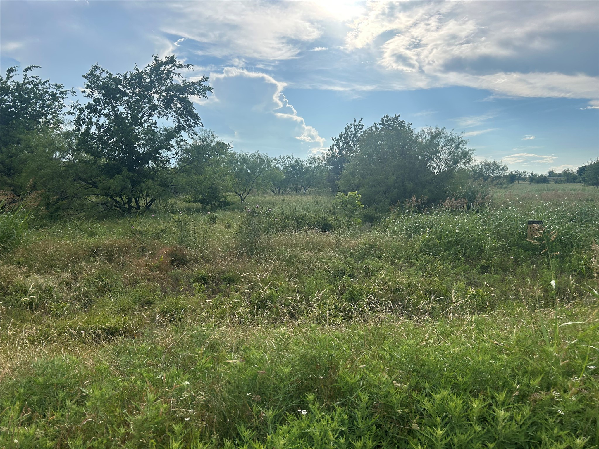 4060 Mirielle Drive Aledo TX 76008