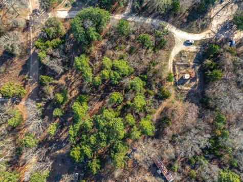 Tbd County Road 3520 Brownsboro TX 75756