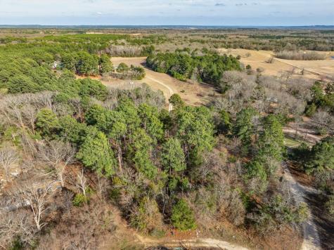 Tbd County Road 3520 Brownsboro TX 75756