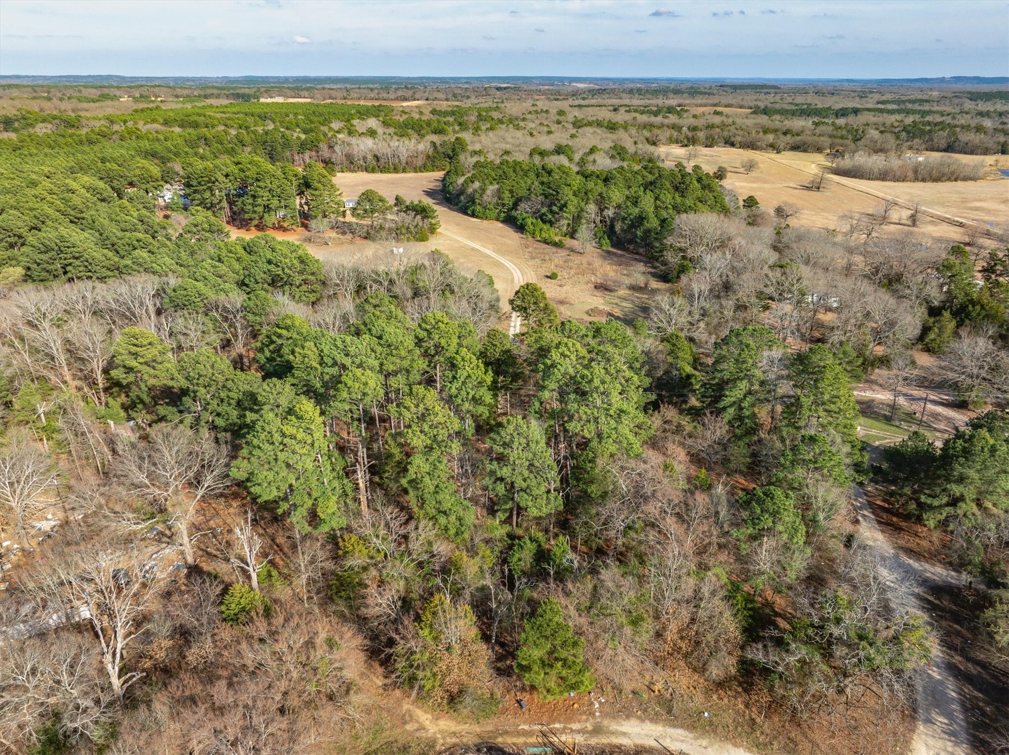 Tbd County Road 3520 Brownsboro TX 75756