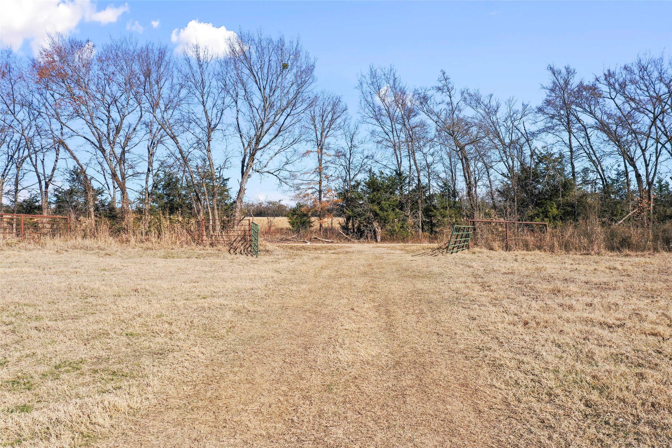 0000 Fm 13200 Blossom TX 75416
