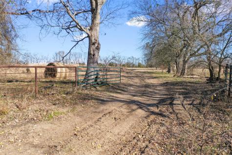 0000 Fm 13200 Blossom TX 75416