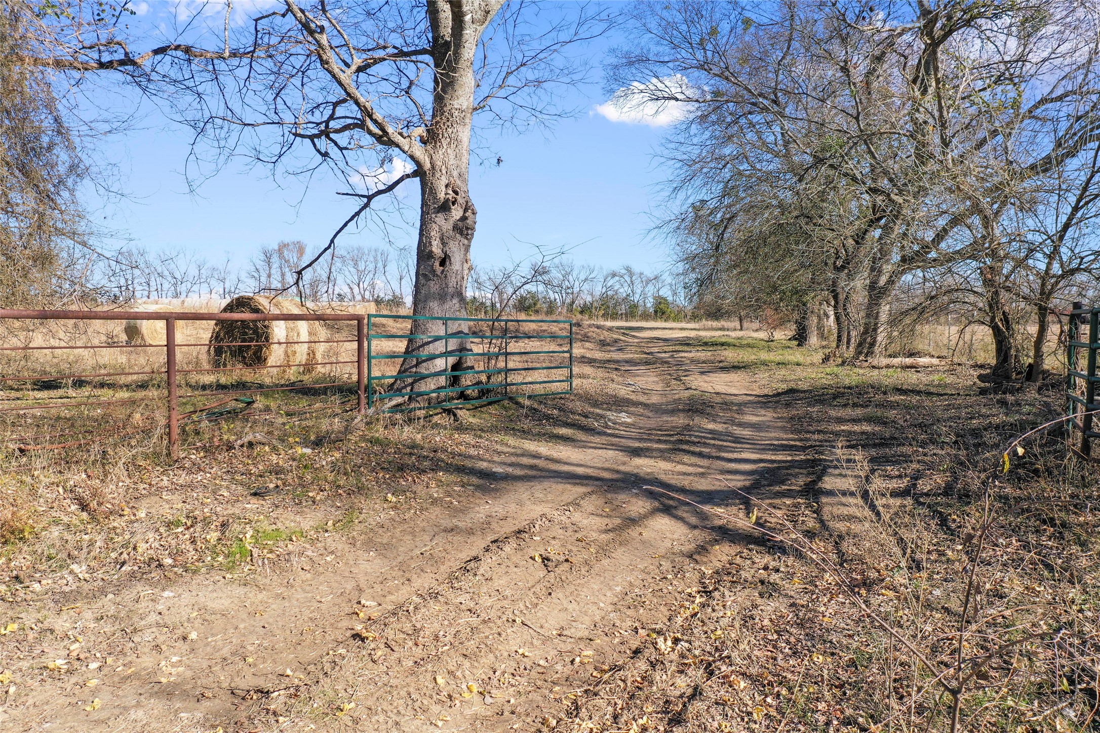 0000 Fm 13200 Blossom TX 75416