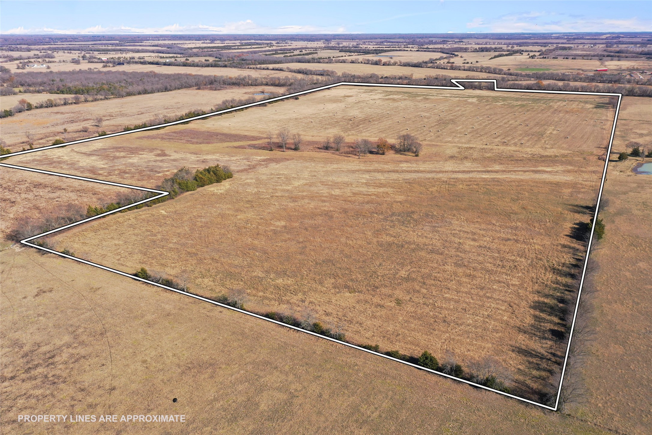 0000 Fm 13200 Blossom TX 75416