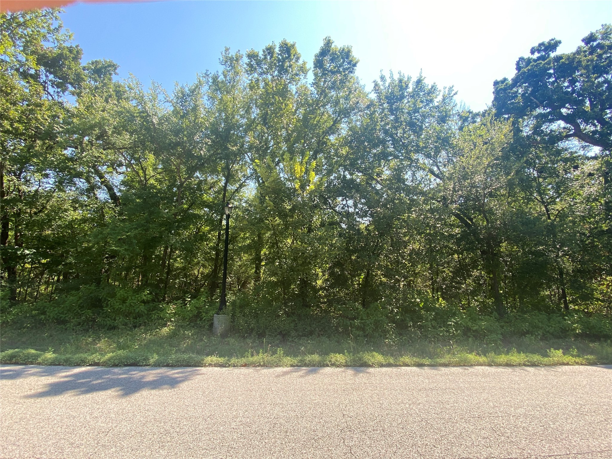109 Heritage Springs Drive Brock TX 76087
