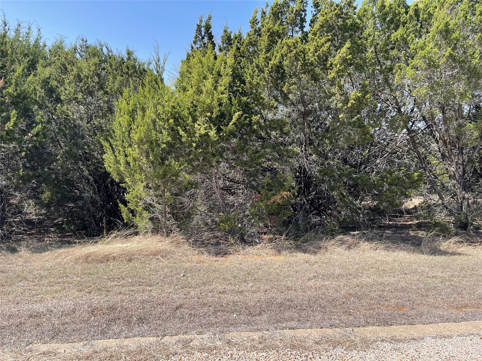 39027 Cedar Trail Whitney TX 76692