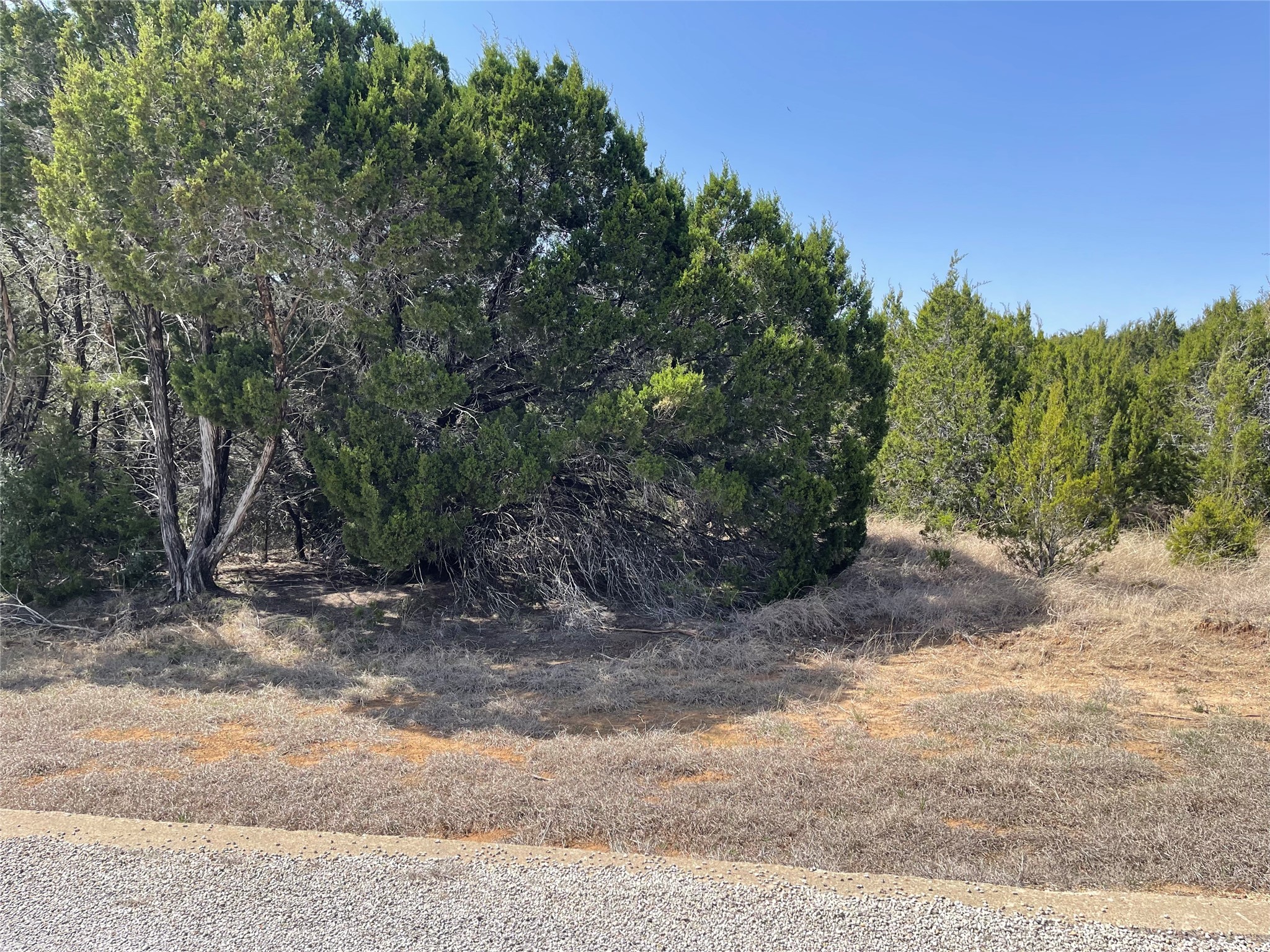 39027 Cedar Trail Whitney TX 76692