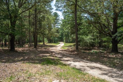 Tbd Pvt. Rd 8079 Road Ben Wheeler TX 75754