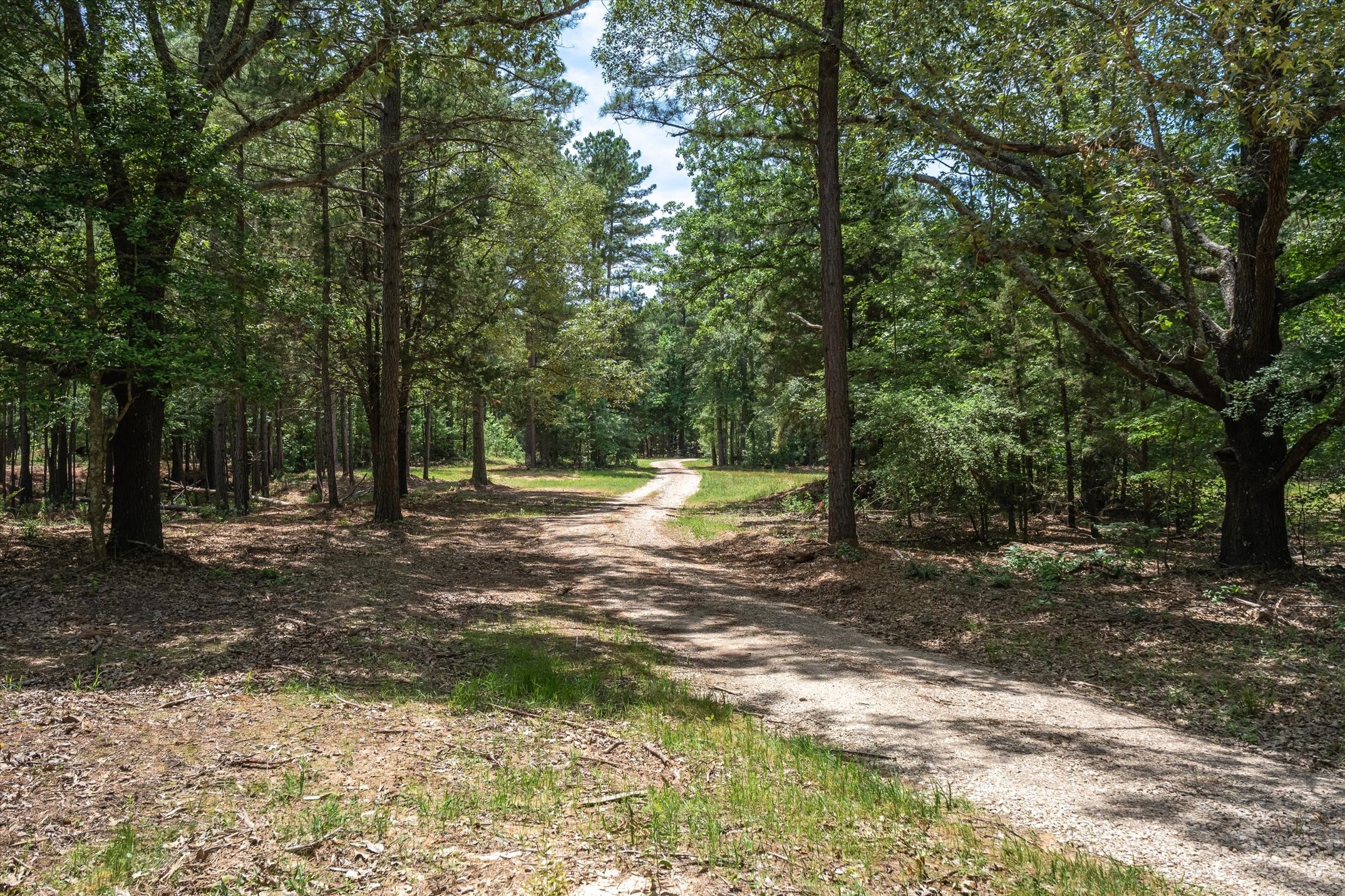 Tbd Pvt. Rd 8079 Road Ben Wheeler TX 75754