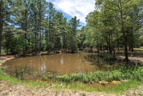 Tbd Pvt. Rd 8079 Road Ben Wheeler TX 75754