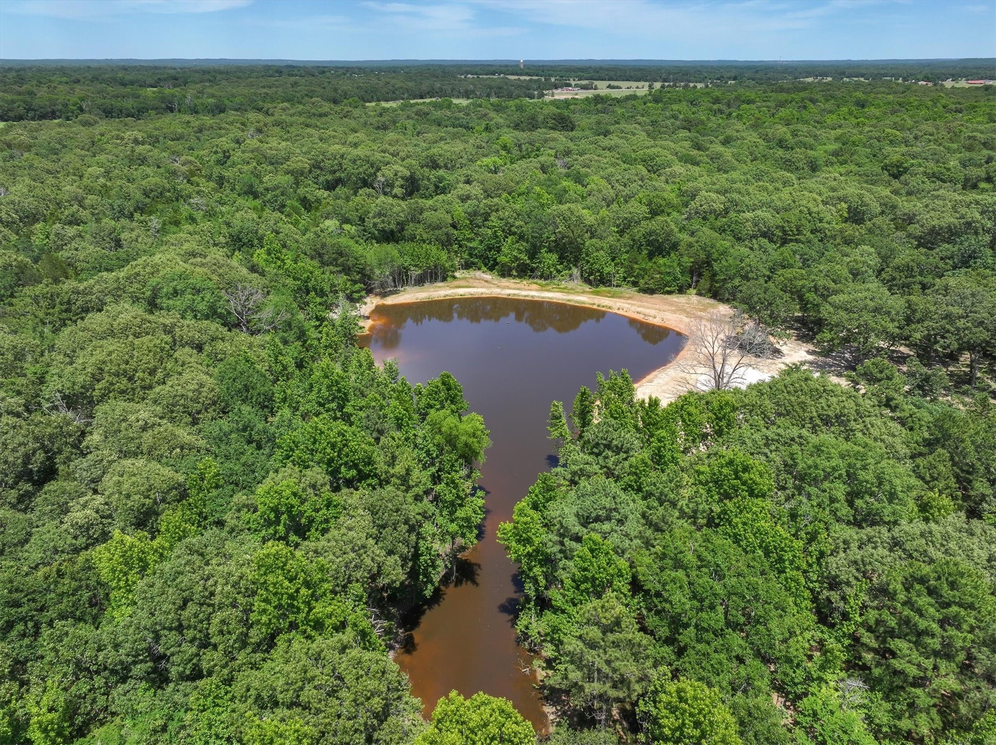 Tbd Pvt. Rd 8079 Road Ben Wheeler TX 75754