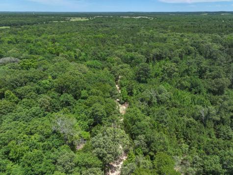 Tbd Pvt. Rd 8079 Road Ben Wheeler TX 75754