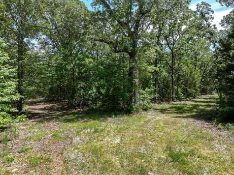 Tbd Pvt. Rd 8079 Road Ben Wheeler TX 75754