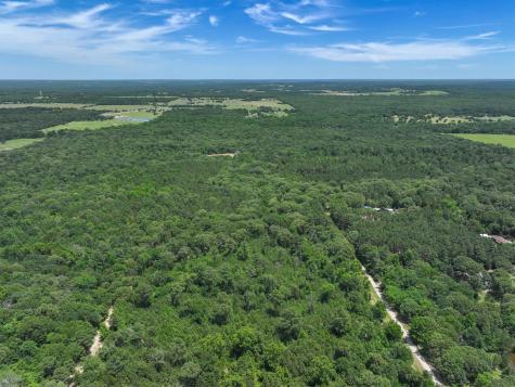 Tbd Pvt. Rd 8079 Road Ben Wheeler TX 75754