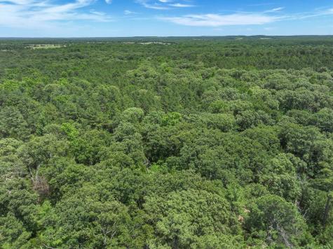 Tbd Pvt. Rd 8079 Road Ben Wheeler TX 75754
